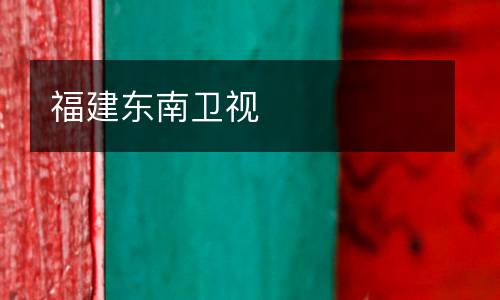 福建東南衛視