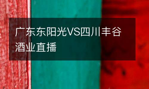 廣東東陽光VS四川豐谷酒業直播